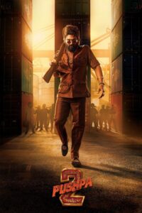 Pushpa 2 – The Rule in Hindi Dubbed
