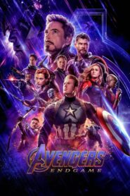 Avengers: Endgame 2019 Hindi dubbed